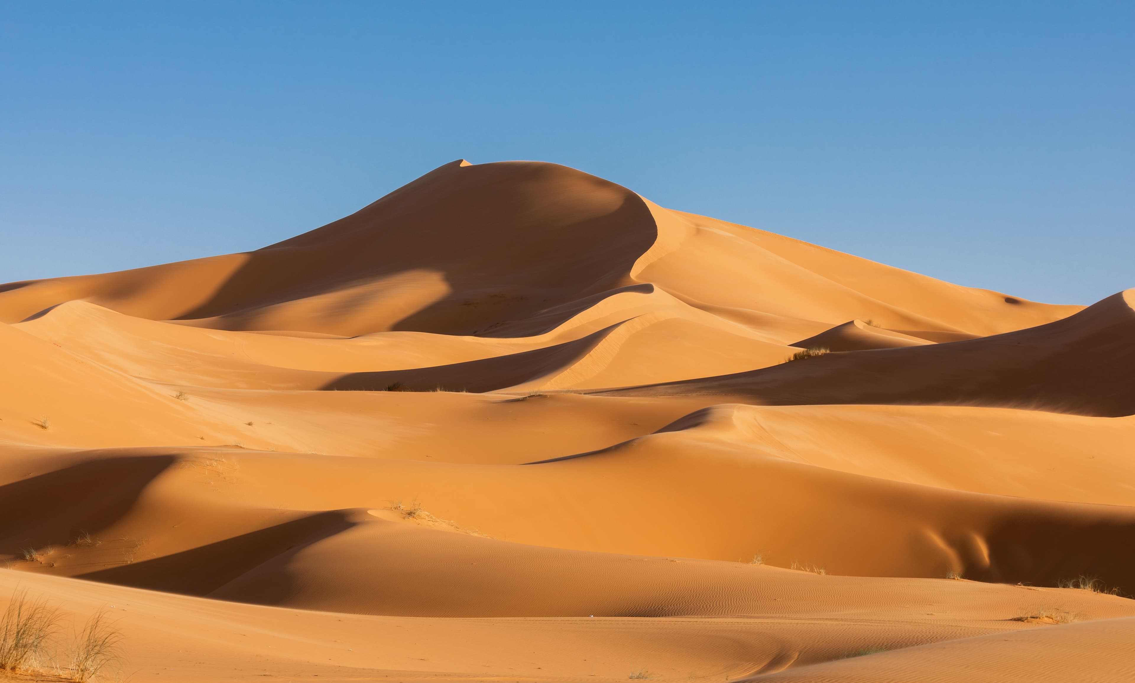 Une dune du Sahara marocain sous un ciel bleu pur